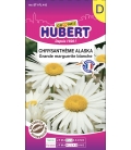 Chrysanthème Alaska Grande Marguerite Blanche © Image protégée téléchargement interdit !