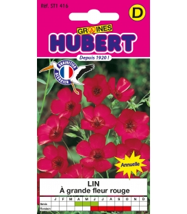 Lin &agrave; Grande Fleur Rouge &copy; Image prot&eacute;g&eacute;e t&eacute;l&eacute;chargement interdit !