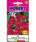 Lin à Grande Fleur Rouge