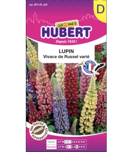 Lupin Vivace de Russel Vari&eacute; &copy; Image prot&eacute;g&eacute;e t&eacute;l&eacute;chargement interdit !