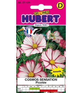 Cosmos Sensation Picot&eacute;e &copy; Image prot&eacute;g&eacute;e t&eacute;l&eacute;chargement interdit !