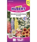Fleurs Vivaces Grandes