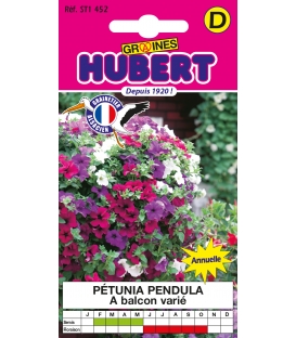 P&eacute;tunia Pendula &agrave; Balcon Vari&eacute; &copy; Image prot&eacute;g&eacute;e t&eacute;l&eacute;chargement interdit !