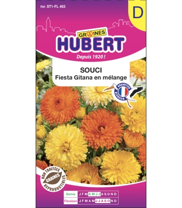 Souci Nain Fiesta Gitana M&eacute;lange