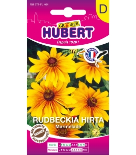 Rudbeckia Marmalade - &copy; Image prot&eacute;g&eacute;e, t&eacute;l&eacute;chargement interdit !