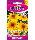 Rudbeckia Marmalade - © Image protégée, téléchargement interdit !