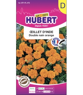 Oeillet d'Inde Double Nain Orange &copy; Image prot&eacute;g&eacute;e t&eacute;l&eacute;chargement interdit !