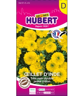 Oeillet d'Inde Tr&egrave;s Nain Double Jaune Citron &copy; Image prot&eacute;g&eacute;e t&eacute;l&eacute;chargement interdit !