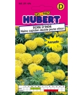 Rose d'Inde Naine Cupidon Double Jaune Citron