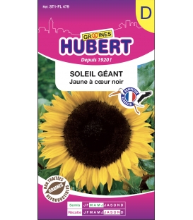 Soleil G&eacute;ant Simple Jaune d'Or &copy; Image prot&eacute;g&eacute;e t&eacute;l&eacute;chargement interdit !