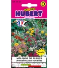 Fleurs Annuelles pour Rocailles