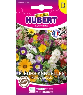 Fleurs Annuelles Naines Vari&eacute;es - &copy; Image prot&eacute;g&eacute;e t&eacute;l&eacute;chargement interdit !&eacute;l&eacute;chargement 