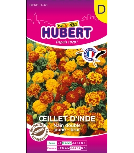 Oeillet d'Inde Nain Double Jaune - Brun &copy; Image prot&eacute;g&eacute;e t&eacute;l&eacute;chargement interdit !