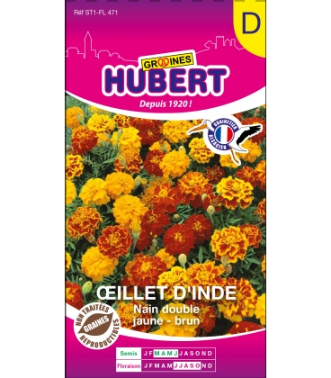 Oeillet d'Inde Nain Double Jaune-Brun