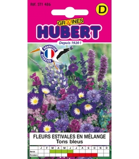 Fleurs pour Bouquets Bleus