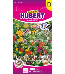 Fleurs d'&eacute;t&eacute; Parfum&eacute;es en M&eacute;lange - &copy; Image prot&eacute;g&eacute;e t&eacute;l&eacute;chargement interdit !