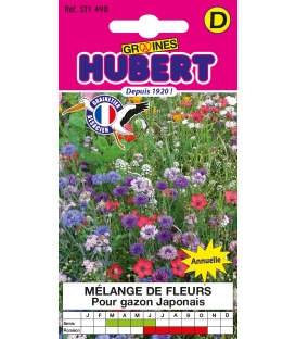 Fleurs pour gazon japonais