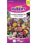 Fleurs Annuelles Hautes Variées ©Images protégées téléchargement interdit !