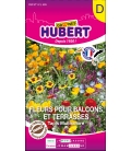 Fleurs Annuelles pour Rocailles © Images protégées téléchargement interdit !