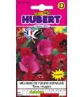 Fleurs pour Bouquets Rouges - © Image protégée téléchargement interdit !
