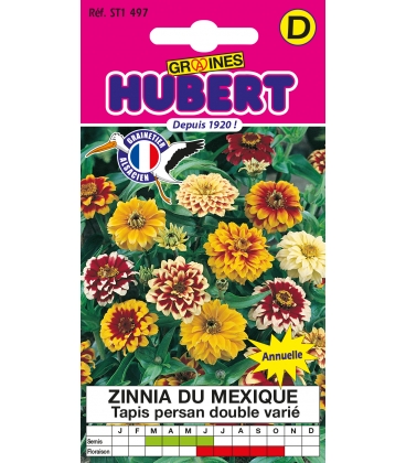 Zinnia du Mexique Tapis Persan Double Vari&eacute;