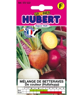 Betteraves en m&eacute;lange Hulahupp