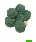 Chou Brocoli Quinta F1 ©Images protégées téléchargement interdit !
