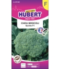 Chou Brocoli Quinta F1 ©Images protégées téléchargement interdit !