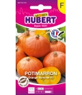 Potimarron Orange Summer F1