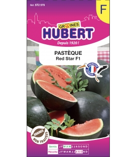 Past&egrave;que Red Star F1 