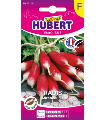 Radis Mirabeau F1