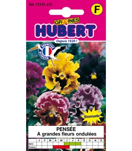 Pens&eacute;e &agrave; Grandes Fleurs Ondul&eacute;es