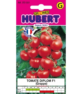 Graines de Tomate Diplom F1