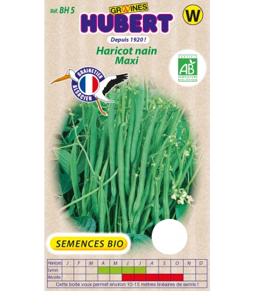 Haricot Nain Maxi BIO