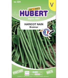 Haricot nain Braimar