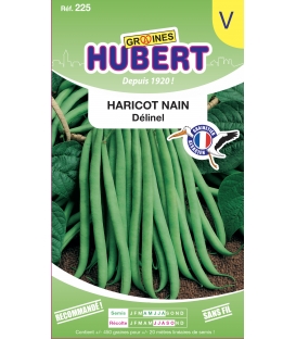 Haricot mangetout nain Delinel
