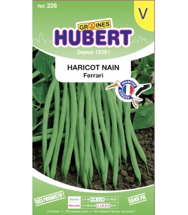 Haricot mangetout nain Ferrari