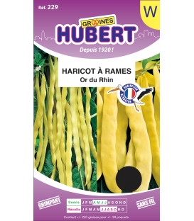 Haricot Beurre &agrave; Rames Or du Rhin &copy; Images prot&eacute;g&eacute;es t&eacute;l&eacute;chargement interdit !