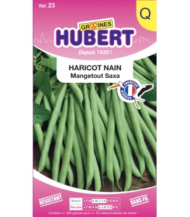 Haricot Nain Mangetout Saxa &copy;Images prot&eacute;g&eacute;es t&eacute;l&eacute;chargement interdit !