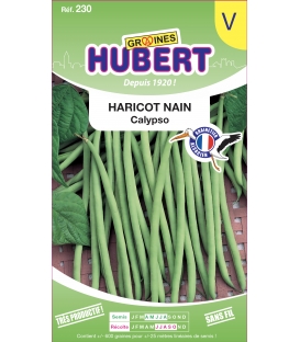 Haricot Nain Mangetout Calypso