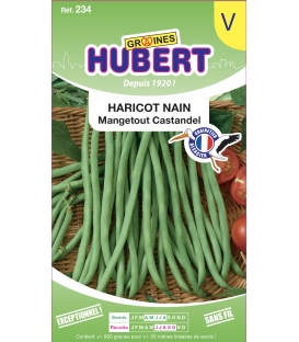 Haricot Nain CASTANDEL