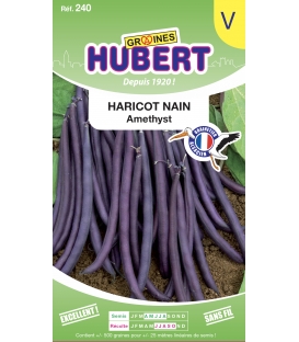 Haricot Nain Amethyst