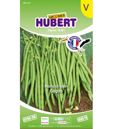 Haricot Cogito EXTRA-FIN