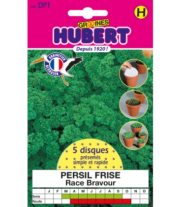 5 Disques Pr&eacute;sem&eacute;s Persil Fris&eacute; - Vari&eacute;t&eacute; Bravour