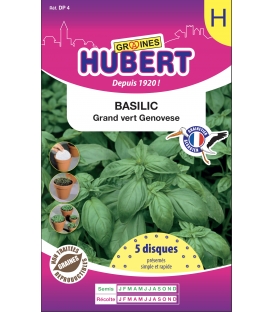 Disques pr&eacute;sem&eacute;s de Basilic Grand vert Genovese &copy;Images prot&eacute;g&eacute;es t&eacute;l&eacute;chargement interdit