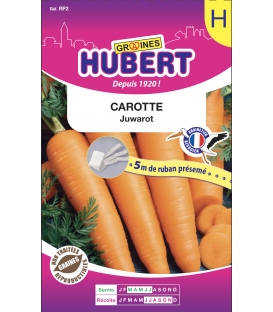 Ruban Pr&eacute;sem&eacute; de Carotte race Juwarot &copy; Image Prot&eacute;g&eacute;e T&eacute;l&eacute;chargement interdit !