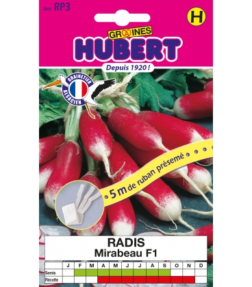 Radis Mirabeau F1 - 5 m de Ruban Pr&eacute;sem&eacute;