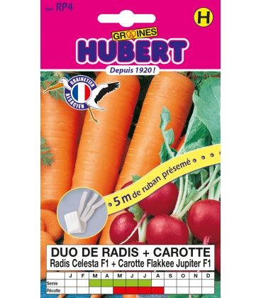 Duo Radis Celesta F1 + Carotte Flakkee Jupiter F1 - 5 m de Ruban Pr&eacute;sem&eacute;