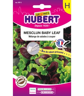 Ruban pr&eacute;sem&eacute; de Mesclun Baby-Leaf- &copy; Image prot&eacute;g&eacute;e t&eacute;l&eacute;chargement interdit !