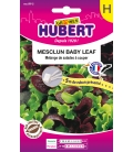 Ruban présemé de Mesclun Baby-Leaf- © Image protégée téléchargement interdit !